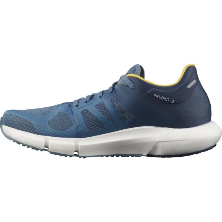 Blue Salomon Predict 2 Men's Running Shoes | PH 05267H